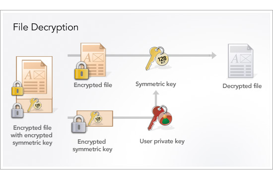Generate Rsa Private Key From Public Key